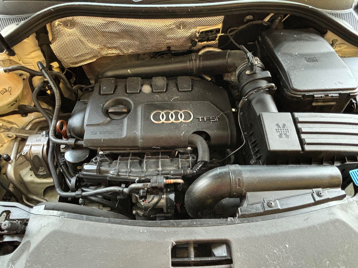 Motor 4 cilindros Audi Q3 2013 eficiente